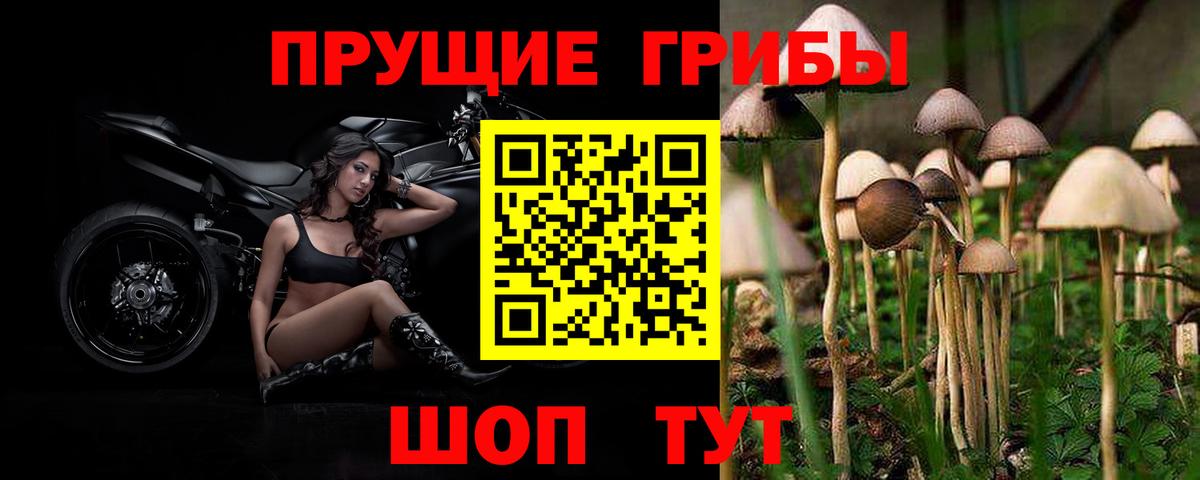 Псилоцибиновые грибы ЛСД  Вход с VPN  Сургут 